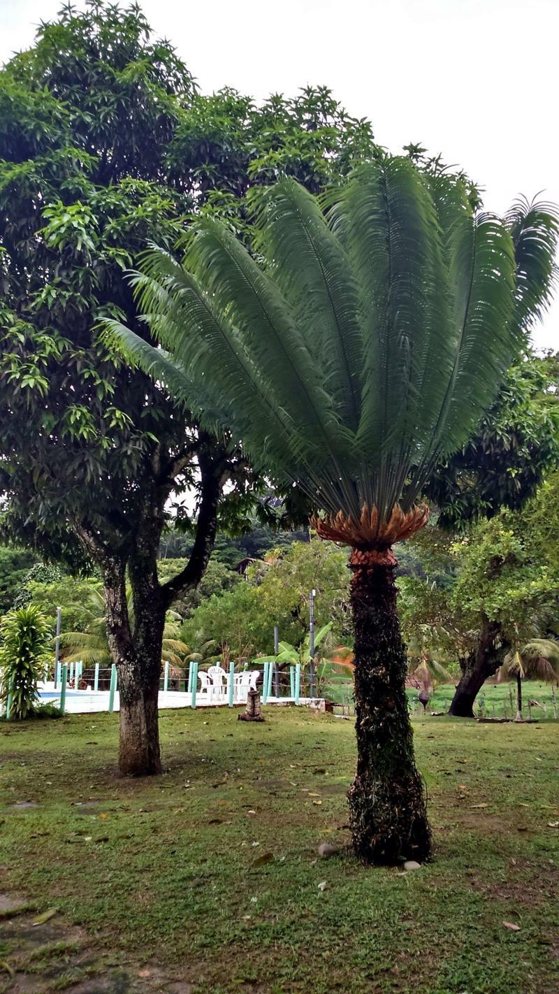 איטה קרה Pousada Sitio Paraiso מראה חיצוני תמונה